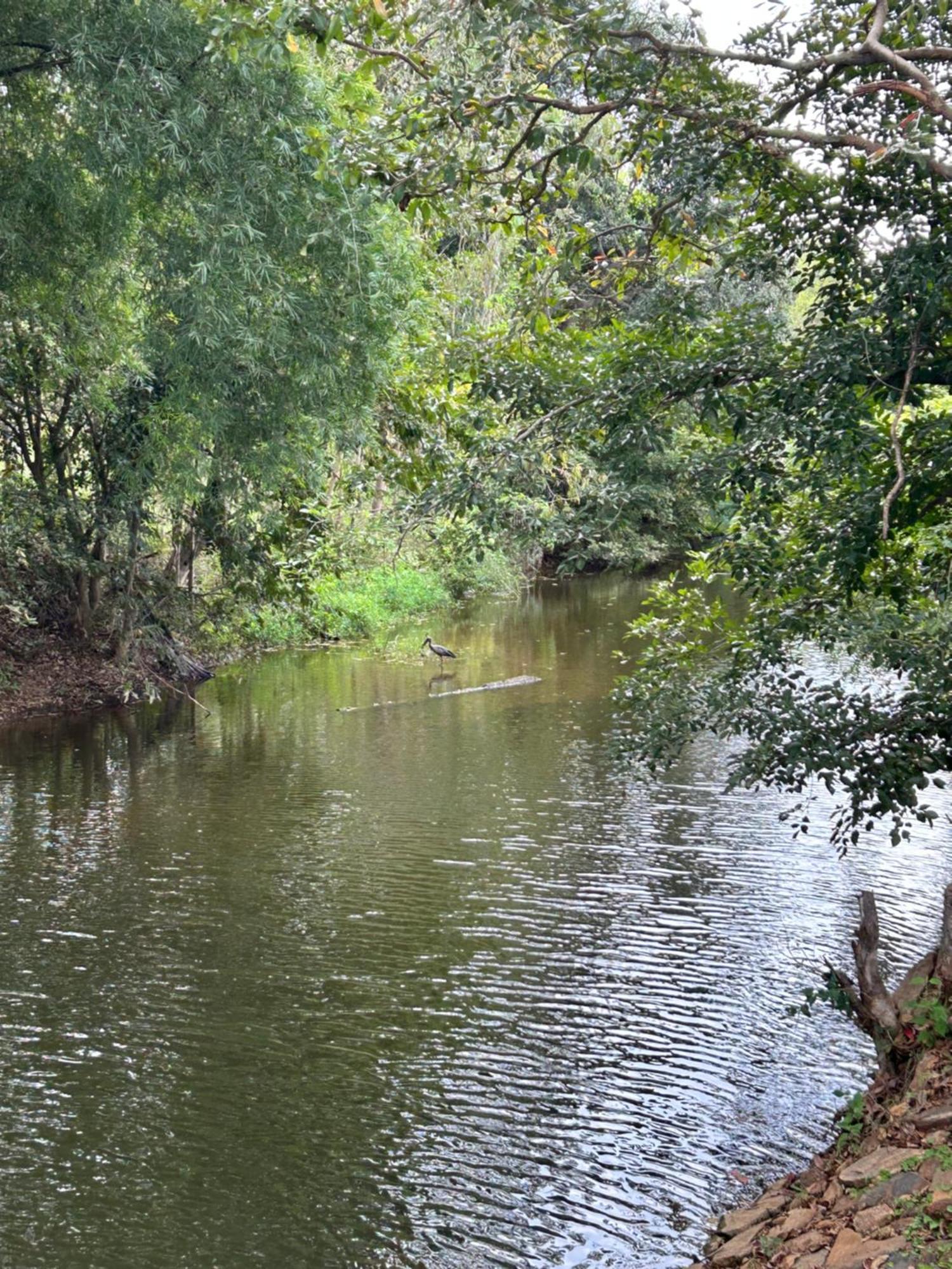 Wilderness Jungle Camp Malavalli Exterior foto